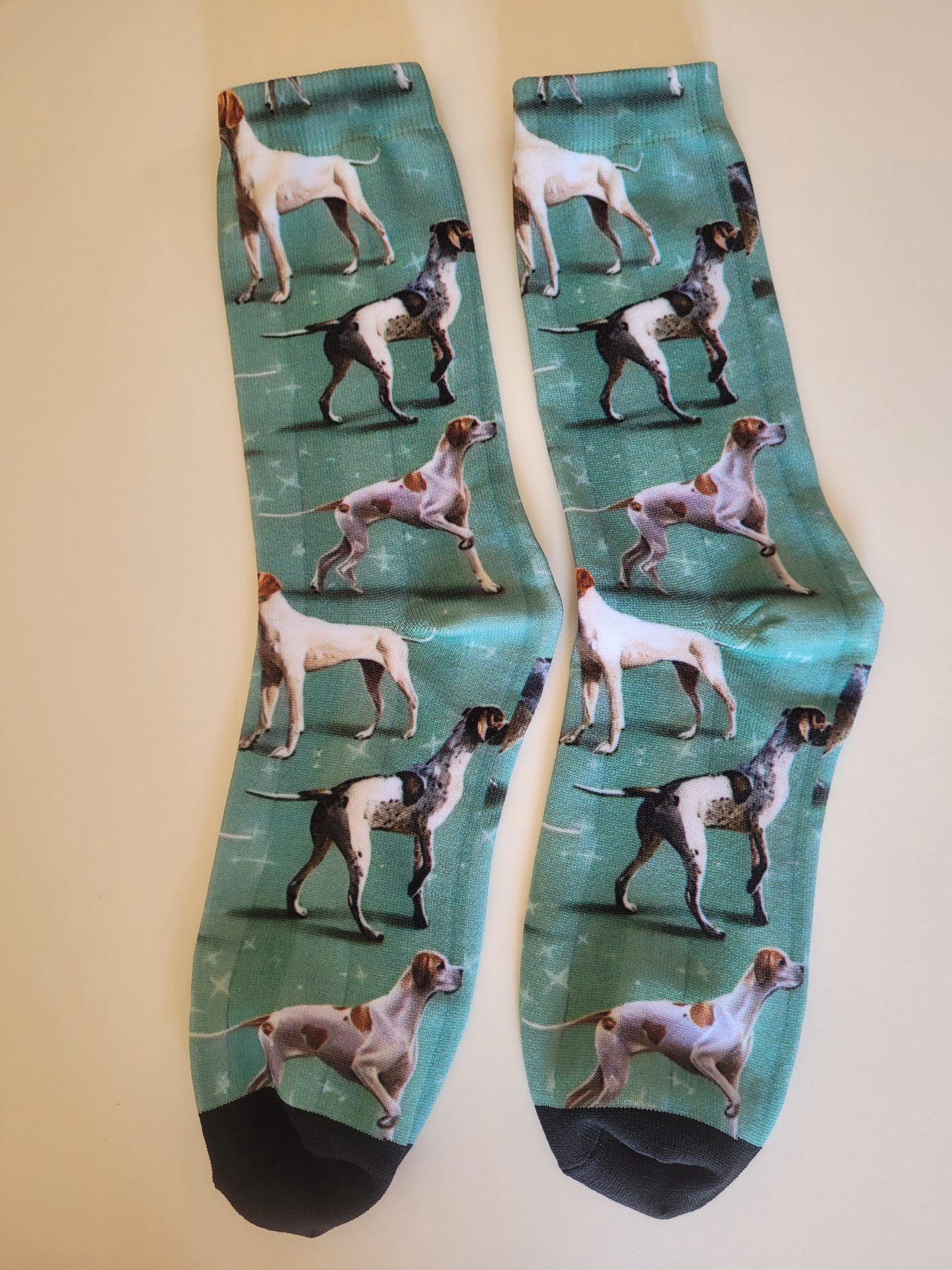 Pointer Socks