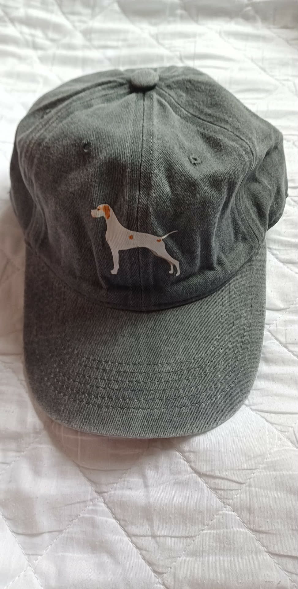 Pointer Baseball Cap - Grey