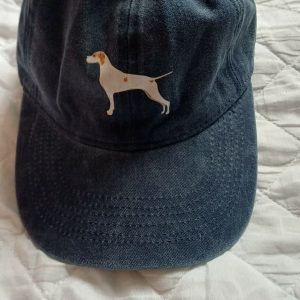 Pointer Baseball Cap - Blue
