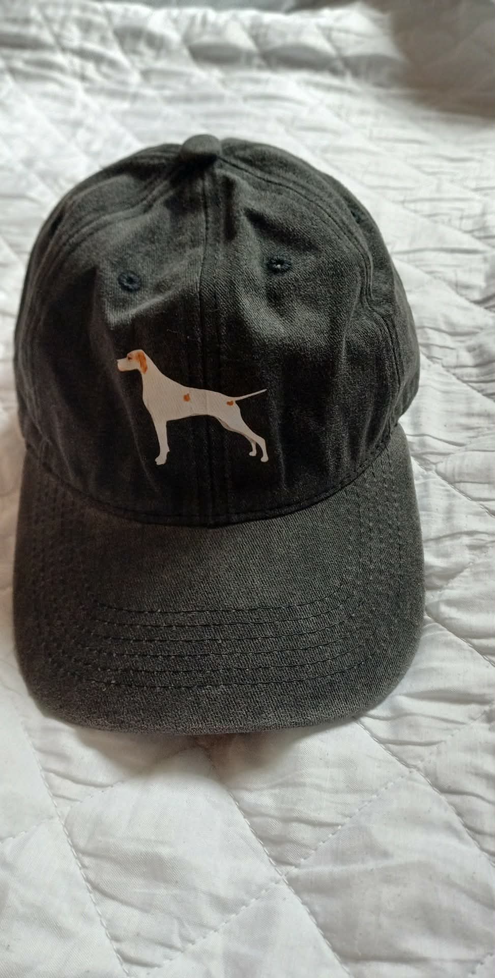 Pointer Baseball Cap - Black