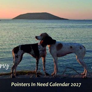 Calendar 2027